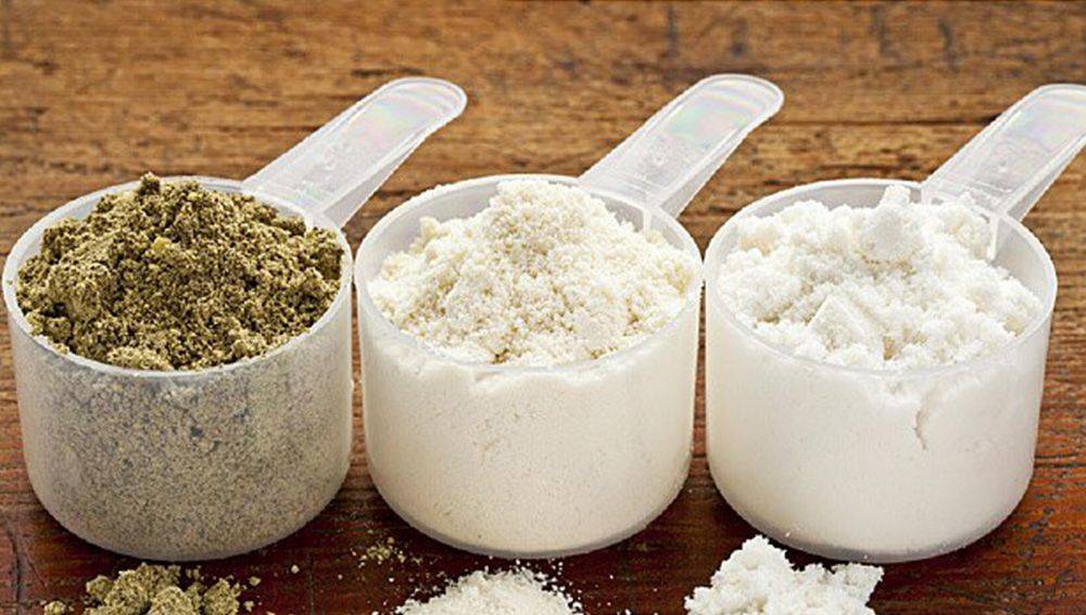 Plant-based protein powders – are they all the same?