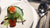Why counting calories is not the only answer to losing weight