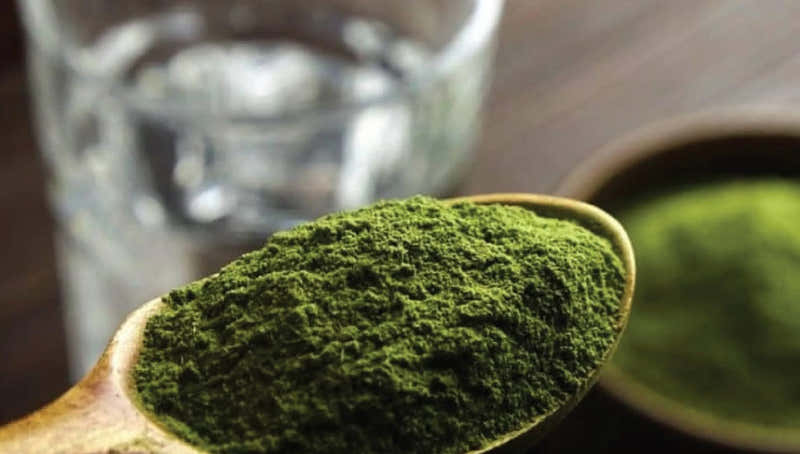The Benefits of Barley Grass and How to Incorporate It into Your Diet-VPA Australia