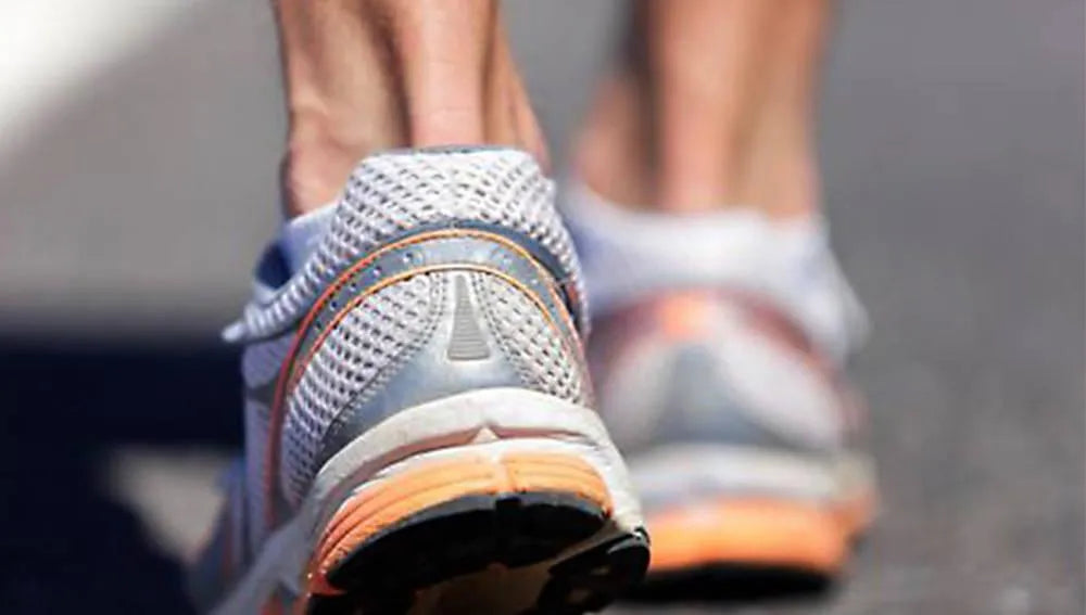 Collagen supplementation for tendon repair