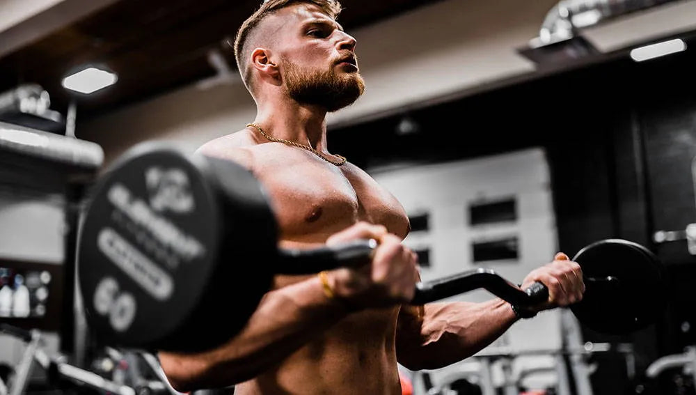 Essential Tips on How to Build Muscle