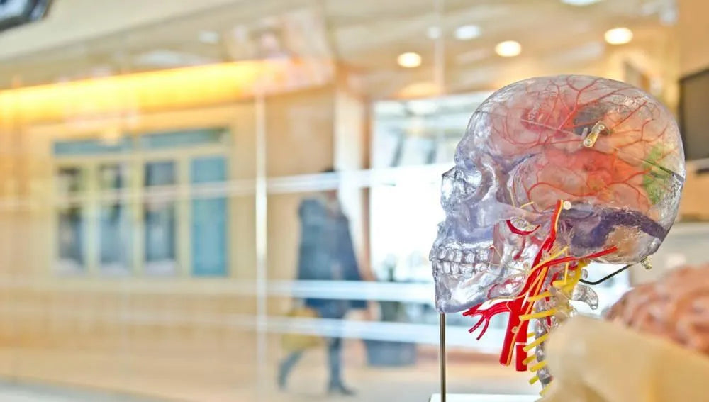 The brain-gut connection and its role in our well-being