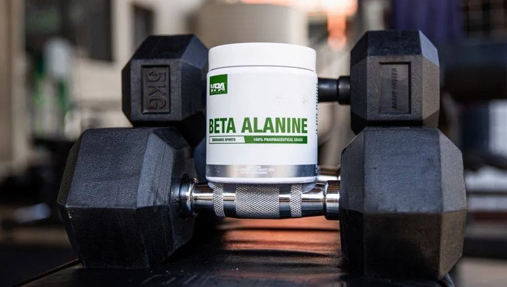 china l carnitine and beta alanine factory What is Beta Alanine and how can it help your performance?