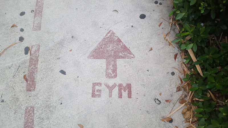 Handling Disruptions to your Training Routine