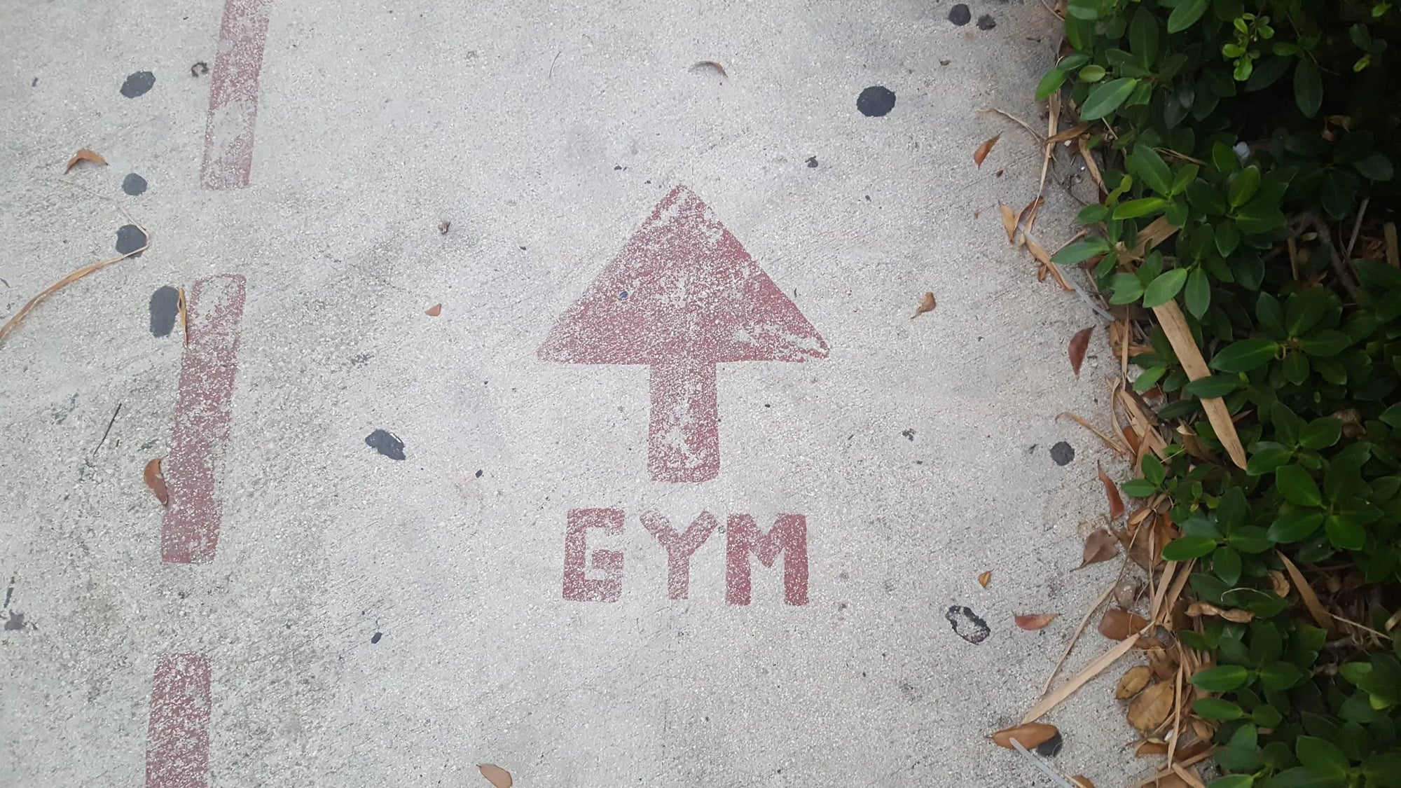 Handling Disruptions to your Training Routine