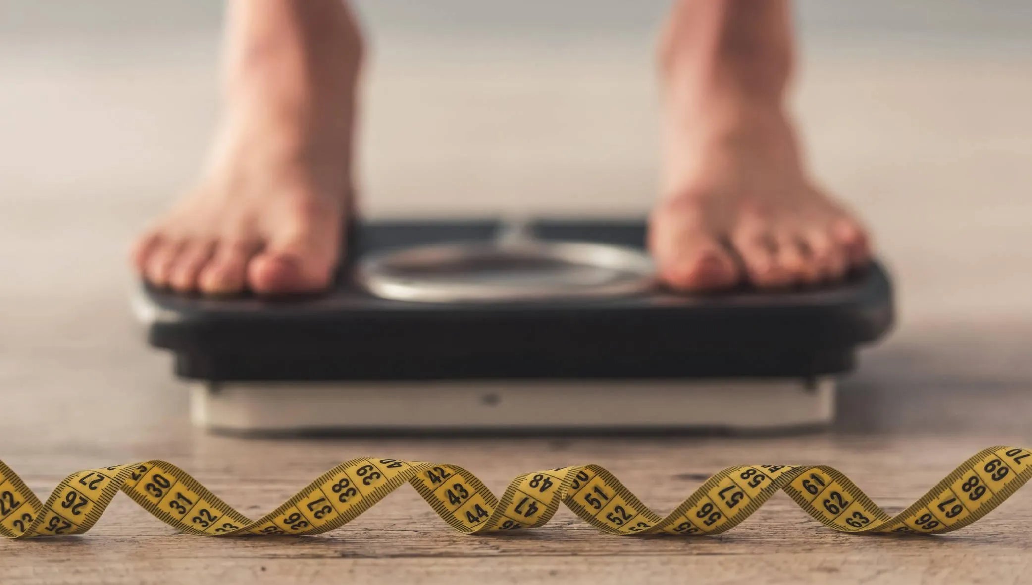 Best Weight Loss Supplements