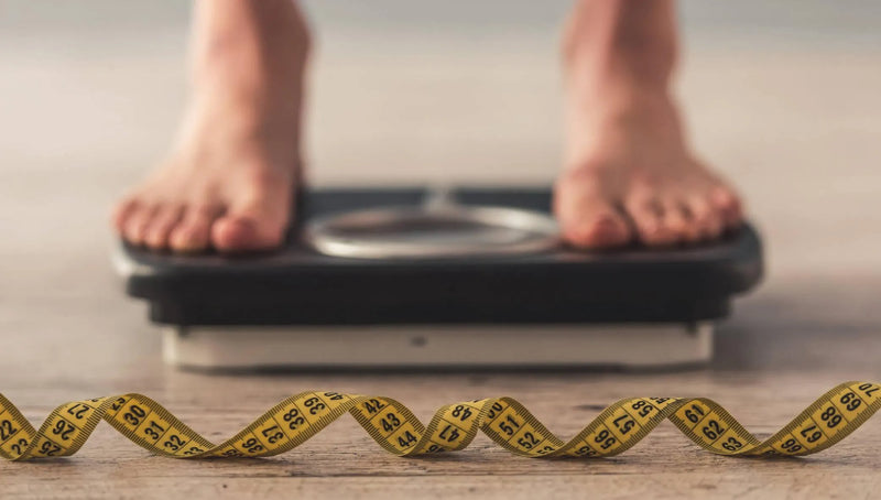 Best Weight Loss Supplements