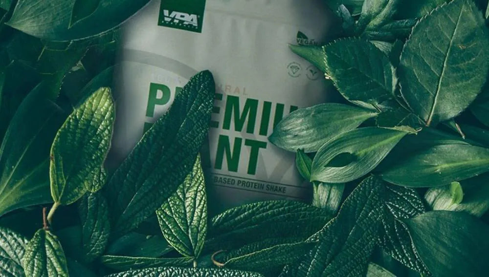 Sources of plant based protein