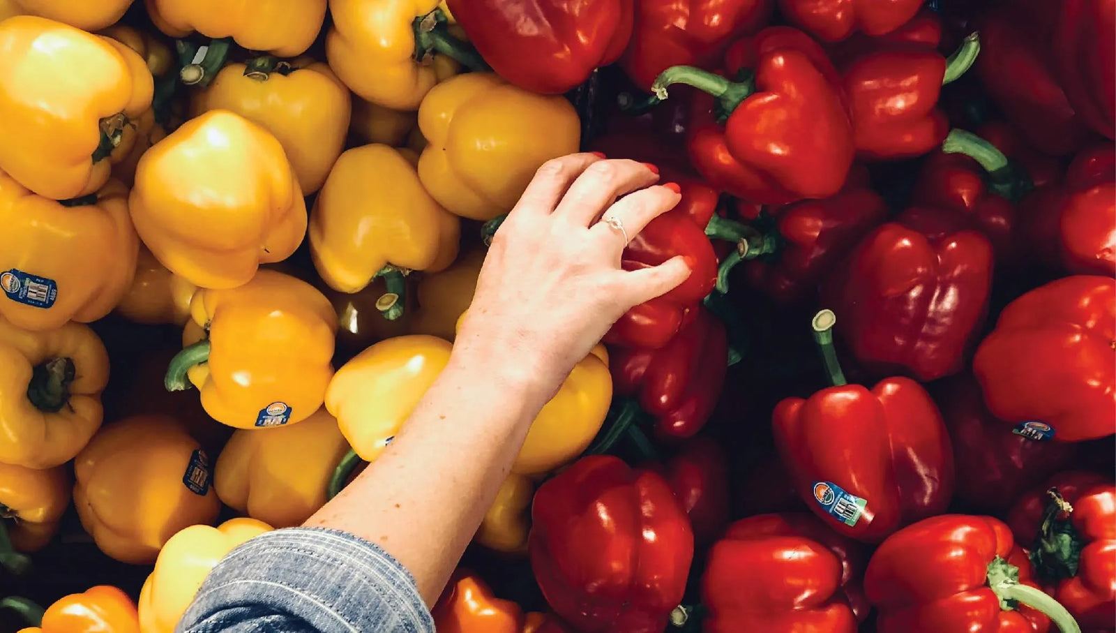 Scary Interesting Nutrition & Health Fun Facts