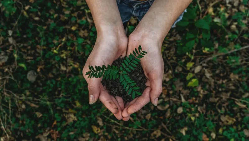 How can I celebrate Earth Day this 2021?
