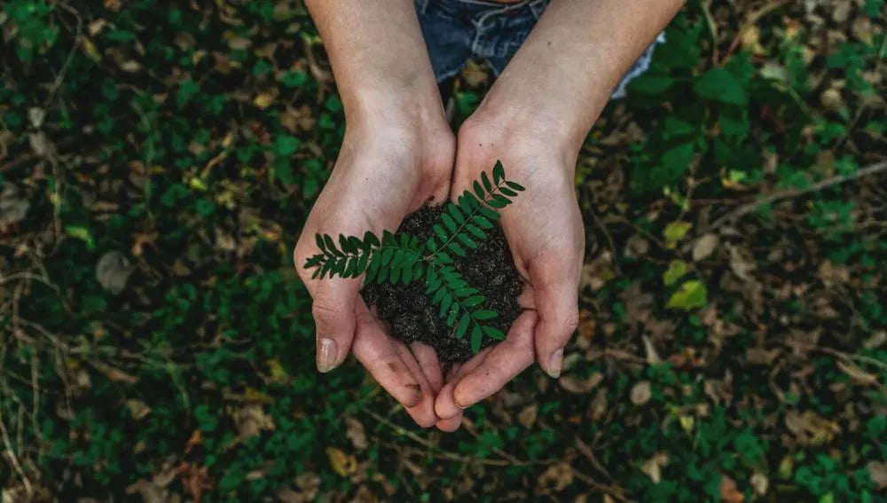 How can I celebrate Earth Day this 2021?