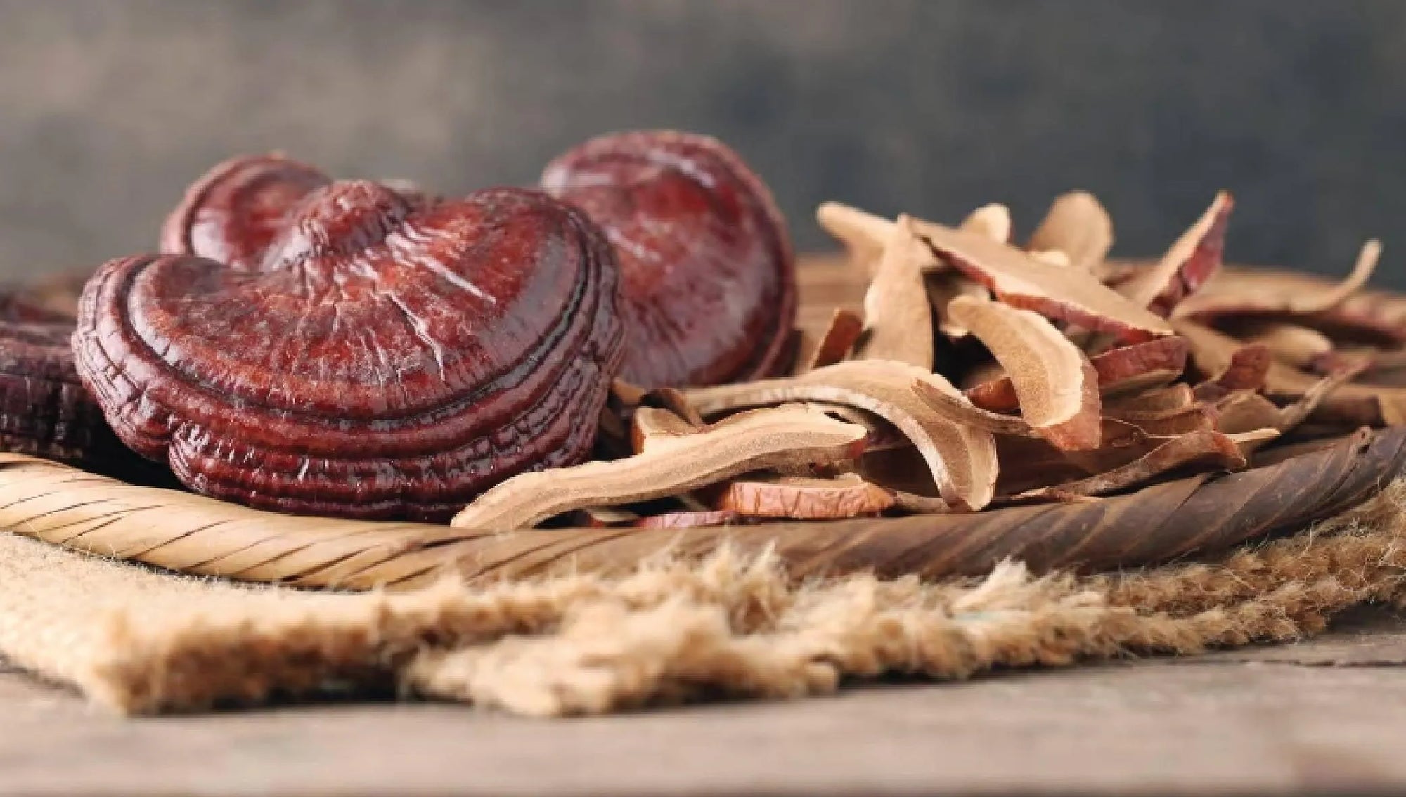 Benefits of Reishi Mushroom-VPA Australia