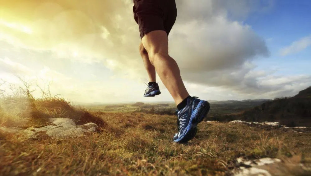 The importance of protein for endurance athletes