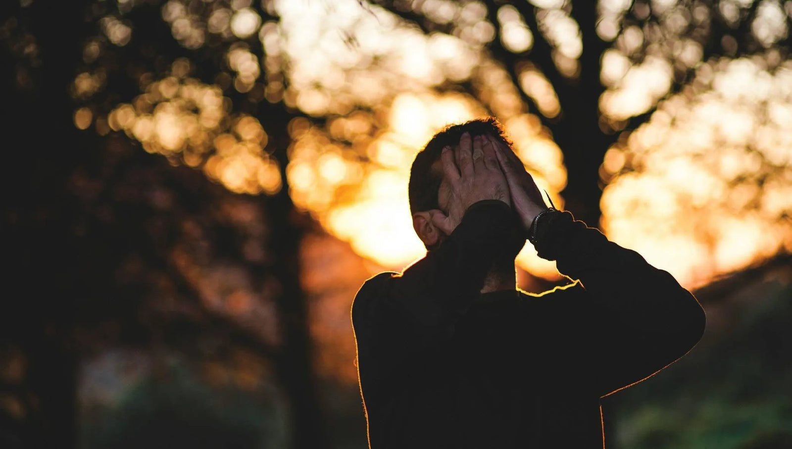 Fitness & Hormones: What does cortisol do?-VPA Australia