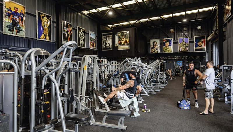 VPA x Muscle Hut