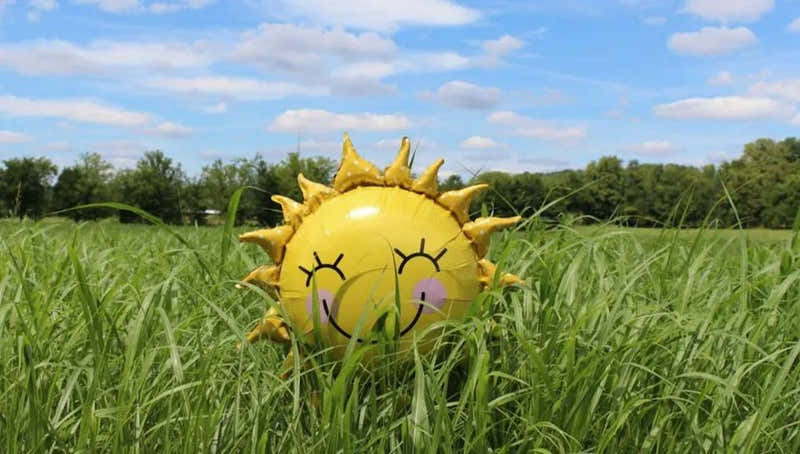 Your guide to the Sunshine Vitamin – Vitamin D