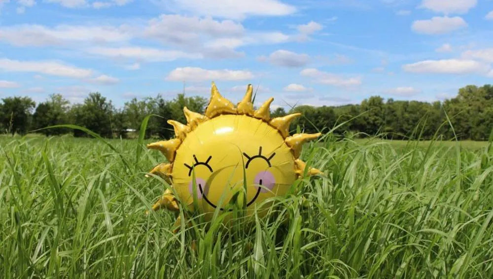 Your guide to the Sunshine Vitamin – Vitamin D