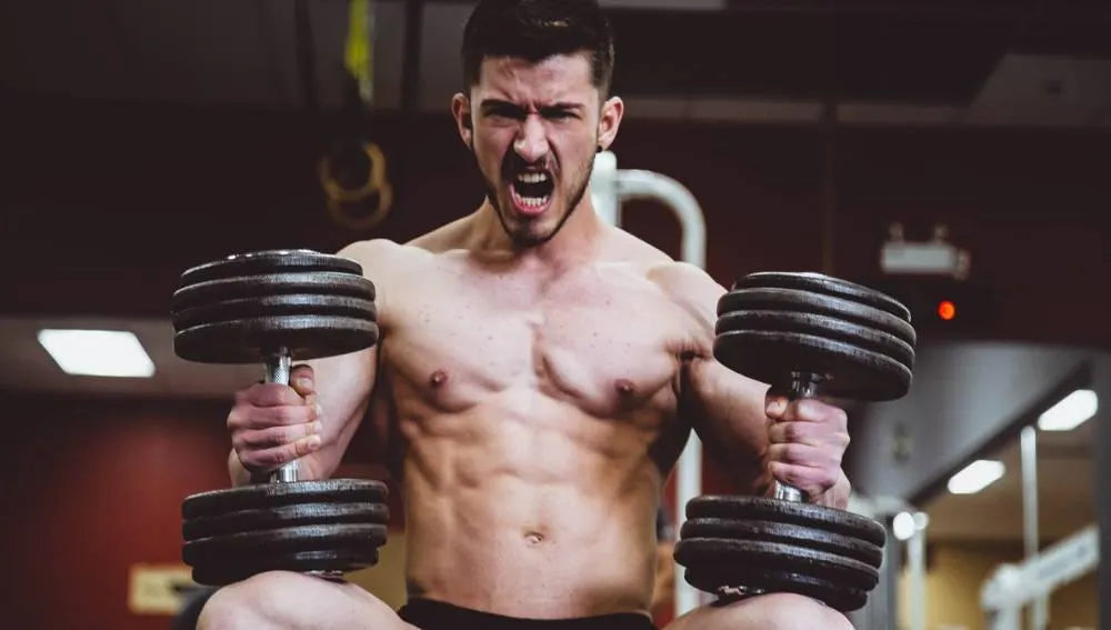 Bulking vs. Cutting