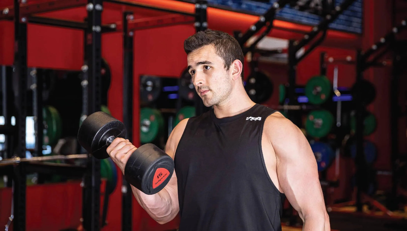 How large should a calorie surplus be for muscle gain?