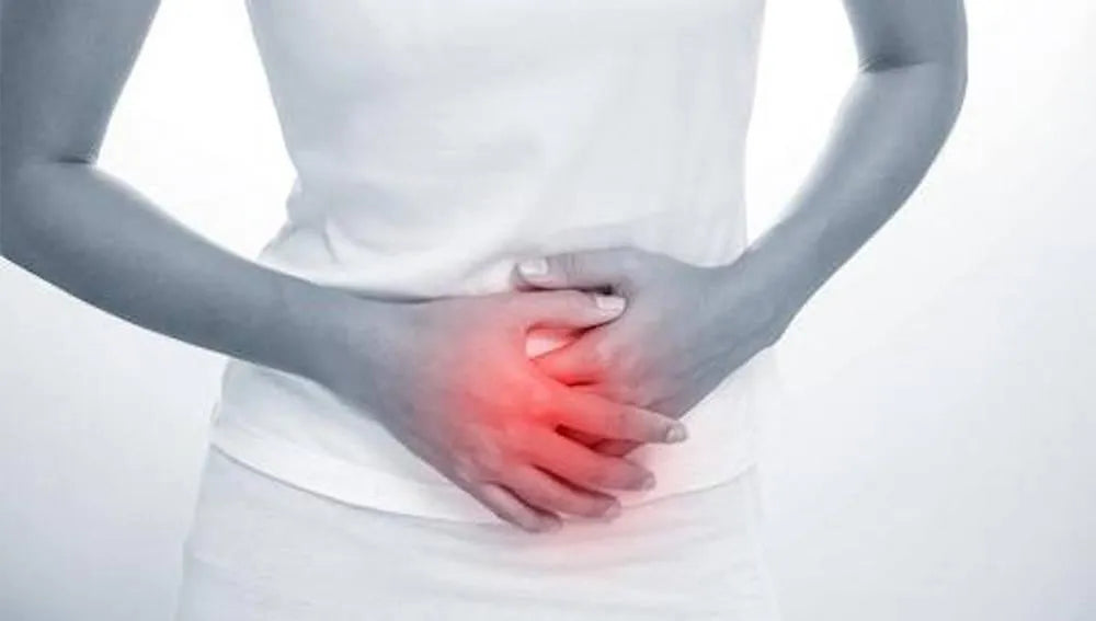 Low FODMAP Protein Powders