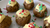 Gingerbread Protein Balls-VPA Australia