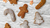 Gingerbread Protein Cookies-VPA Australia