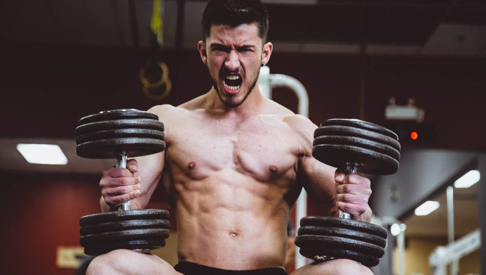 Bulking vs. Cutting