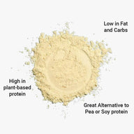 Fava Bean Protein